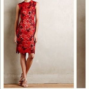 hd in paris lace pencil dress